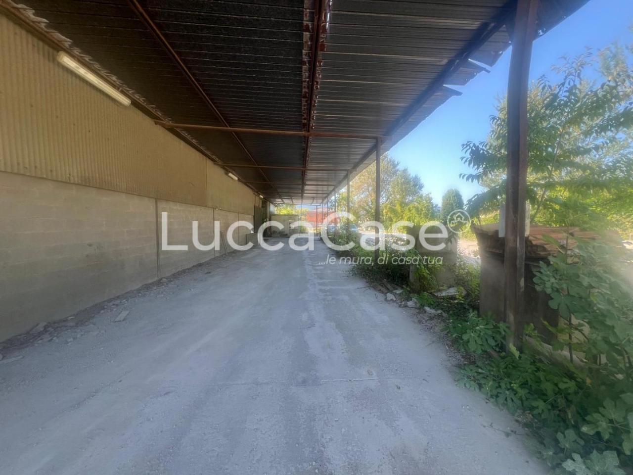 Magazzino in , Capannori, {3} - Foto 2