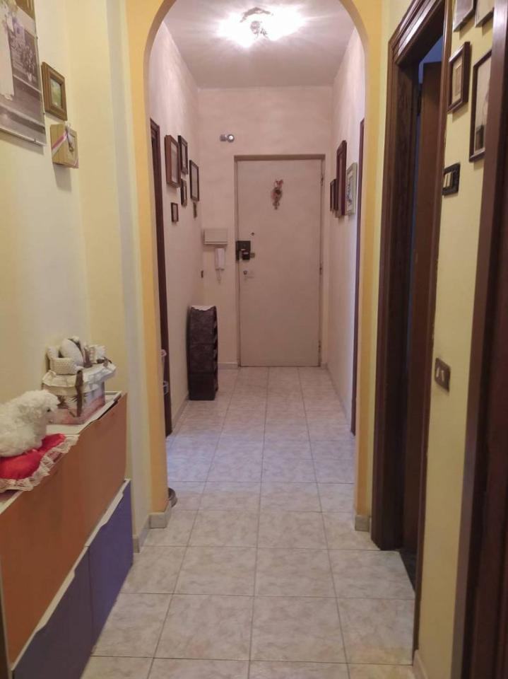 immagine annuncio 5 di 11