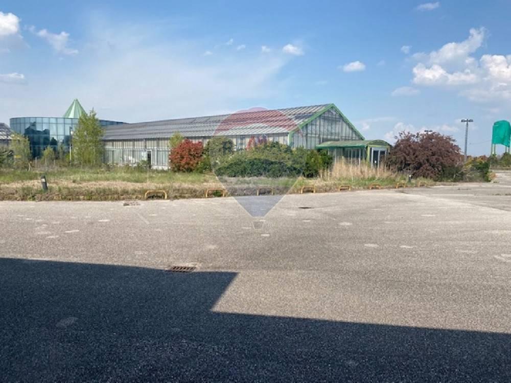 Azienda agricola in Via Toffanelle Nuove S.N.C., Zevio - Foto 1