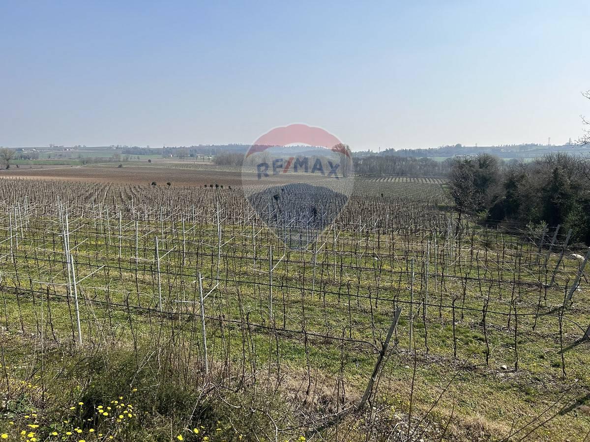 Terreno agricolo in vendita a Villafranca Di Verona