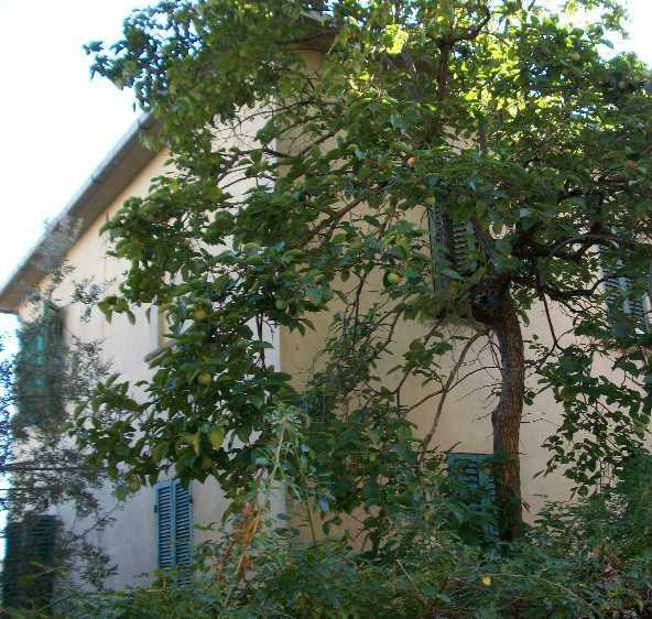 Villa in vendita a Monte San Savino