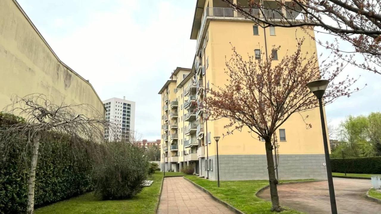 immagine annuncio 1 di 14