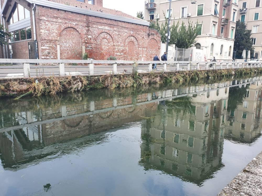 immagine annuncio 8 di 12