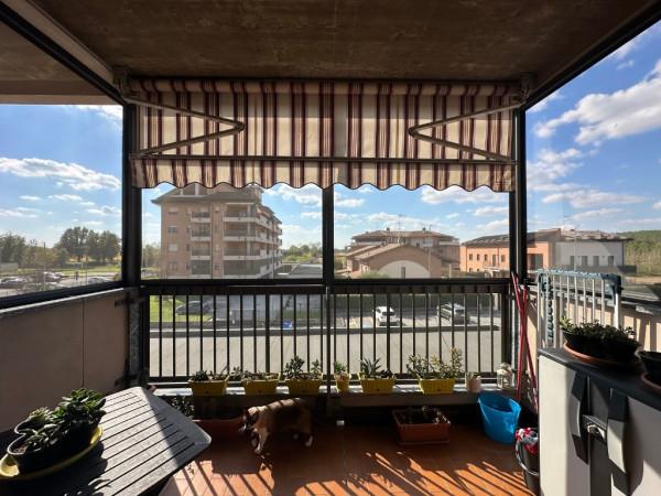 immagine annuncio 7 di 15