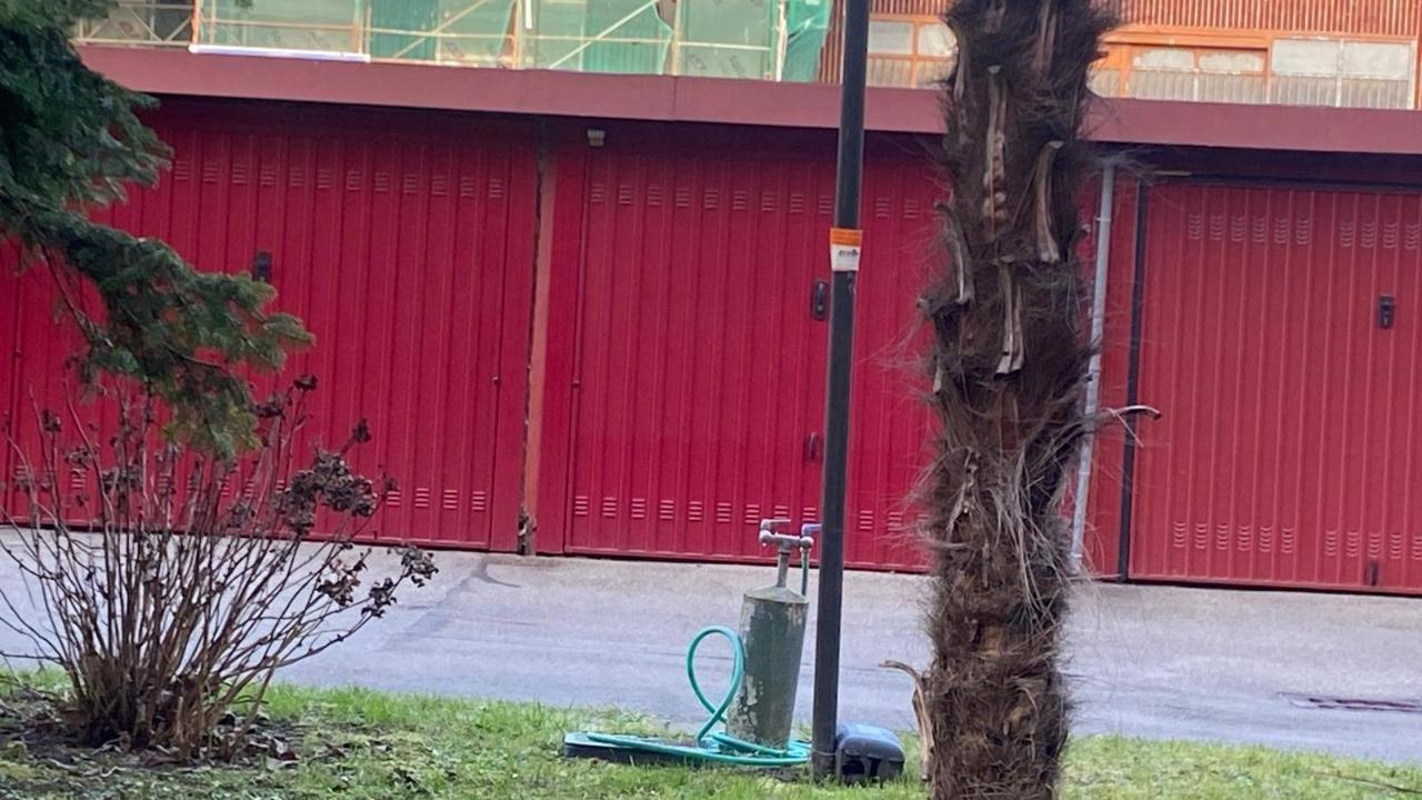 immagine annuncio 11 di 15