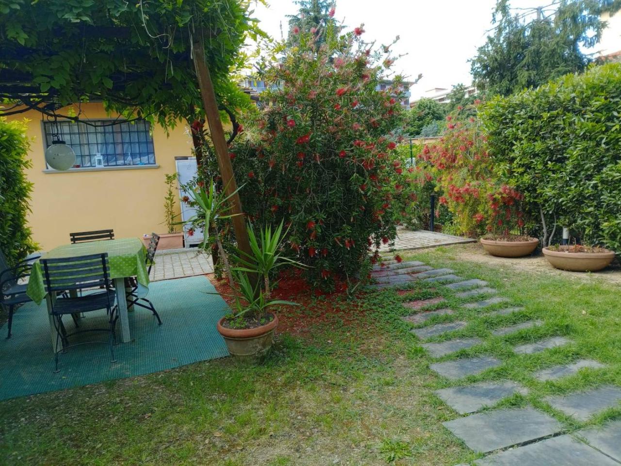 immagine annuncio 1 di 15