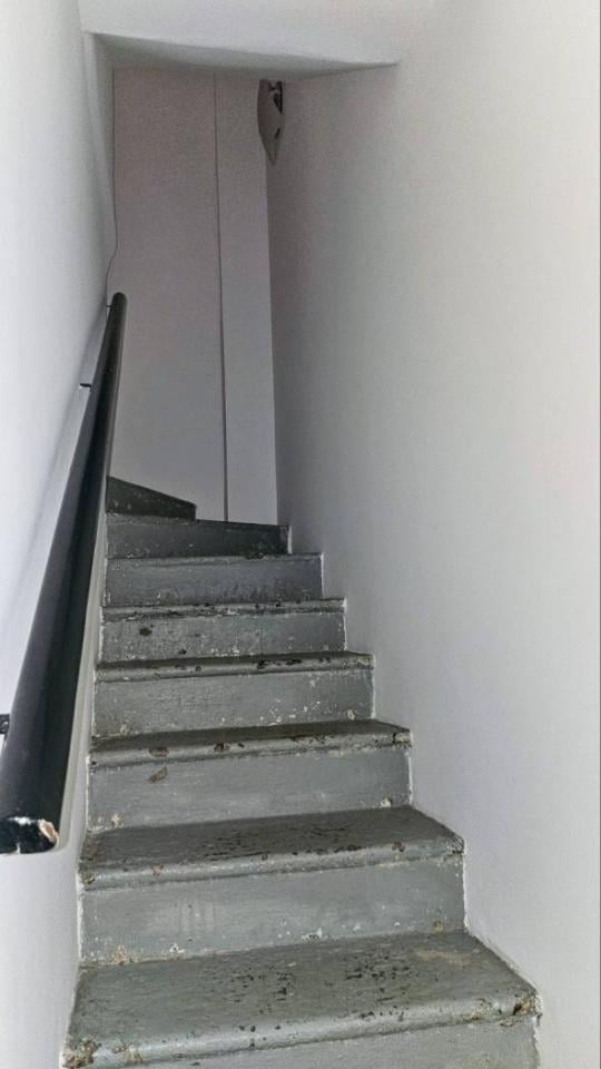 immagine annuncio 2 di 14