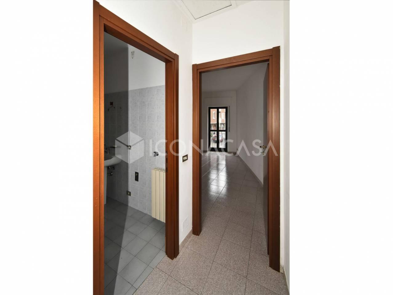 immagine annuncio 5 di 14