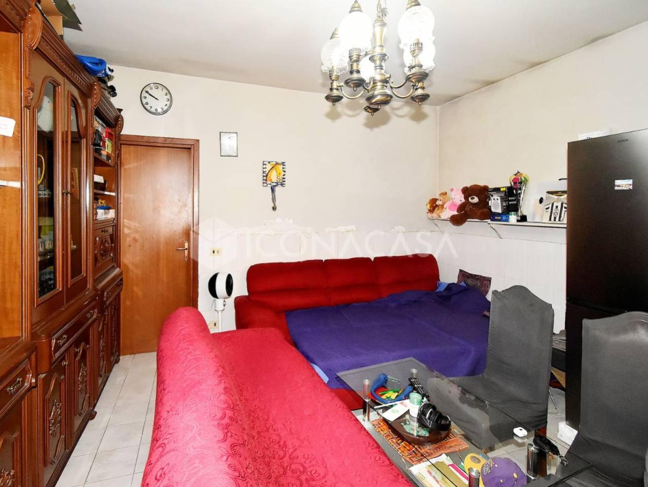 immagine annuncio 7 di 12