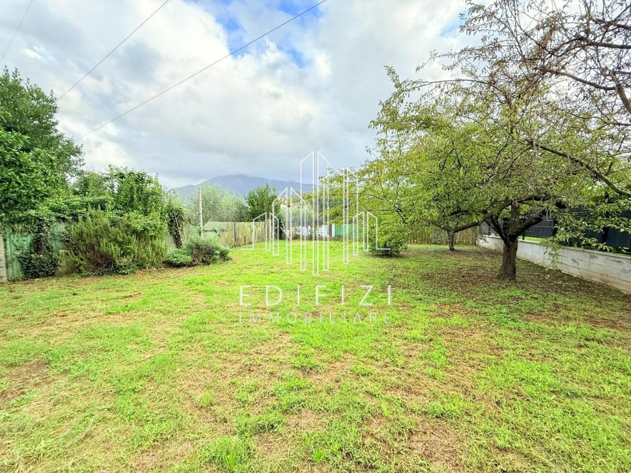 immagine annuncio 2 di 7