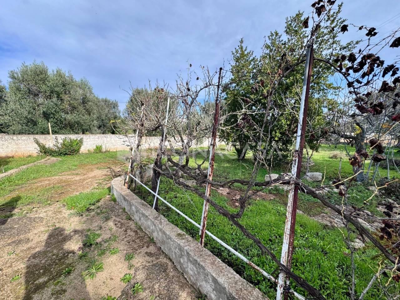 immagine annuncio 7 di 8