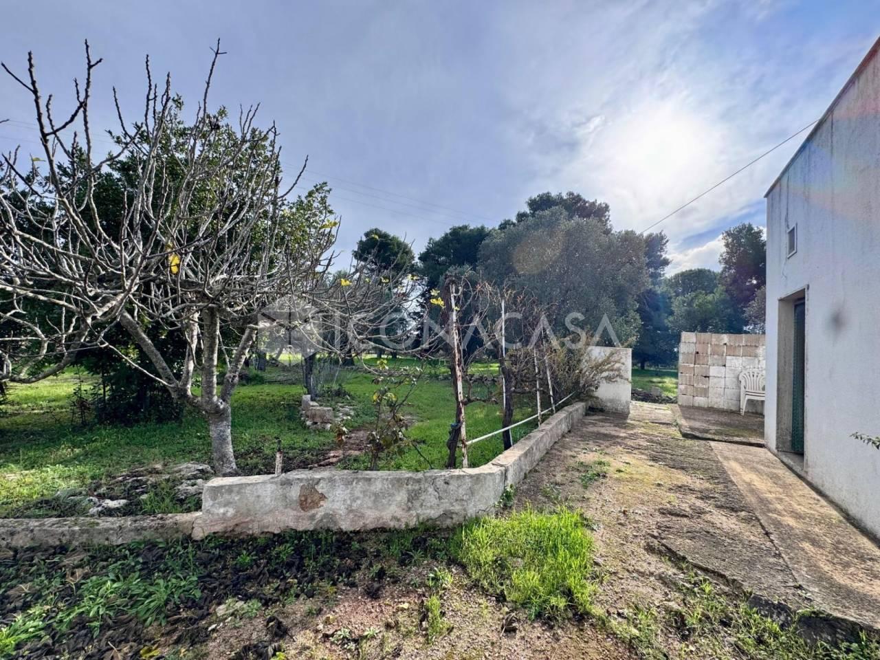 immagine annuncio 5 di 8