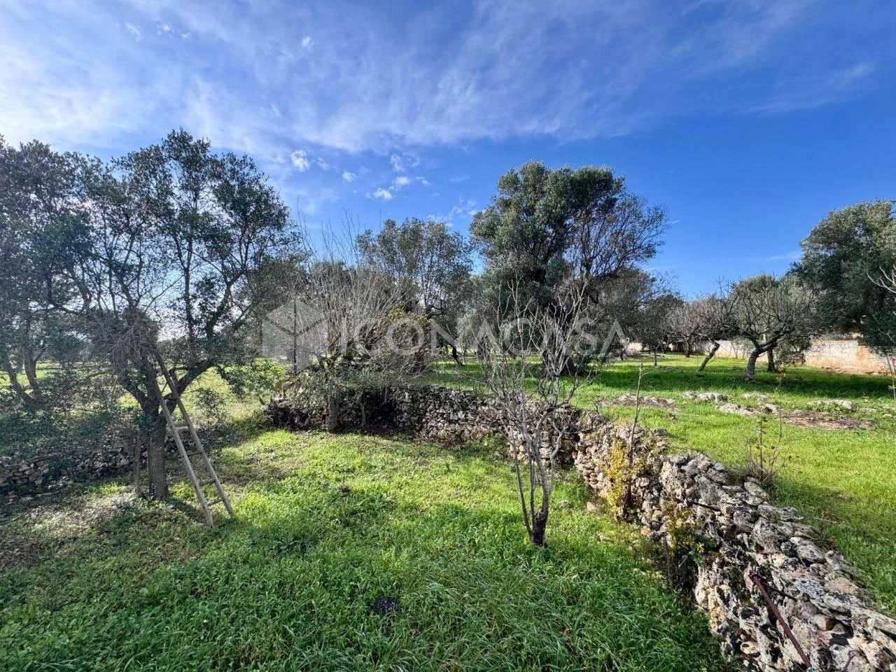 immagine annuncio 6 di 8