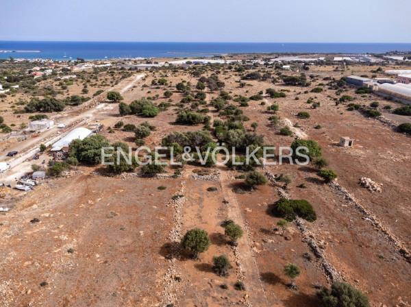 immagine annuncio 5 di 11