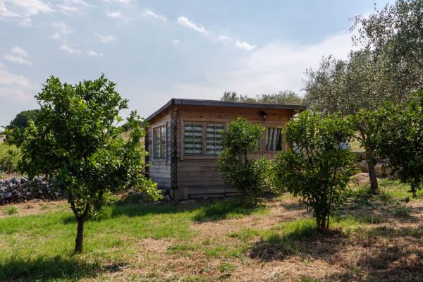 immagine annuncio 4 di 14