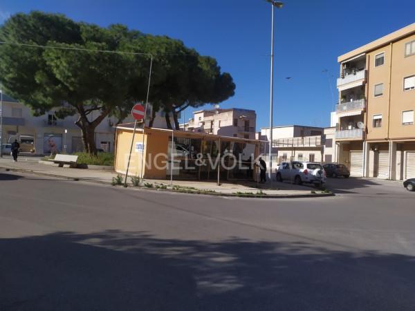 Piante e fiori in Via Grotta Santa 58, Siracusa, {3} - Foto 2