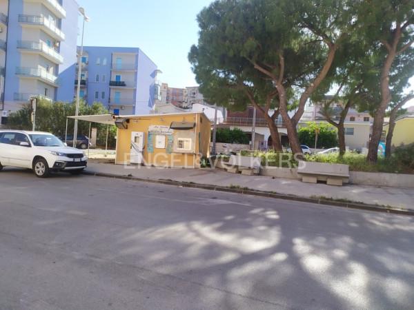 Piante e fiori in Via Grotta Santa 58, Siracusa, {3} - Foto 1