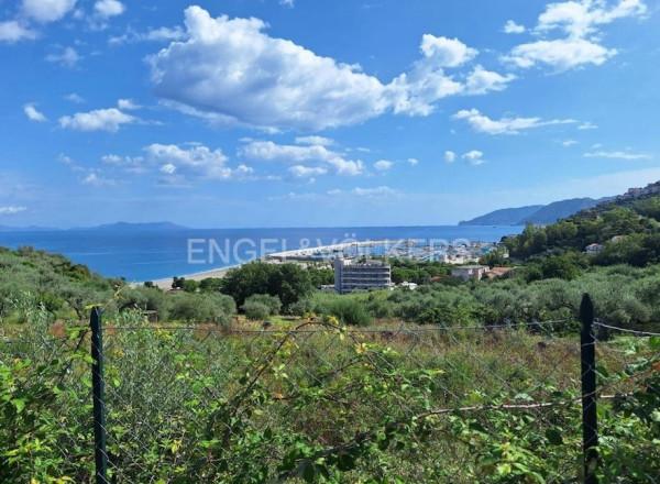 immagine annuncio 1 di 2