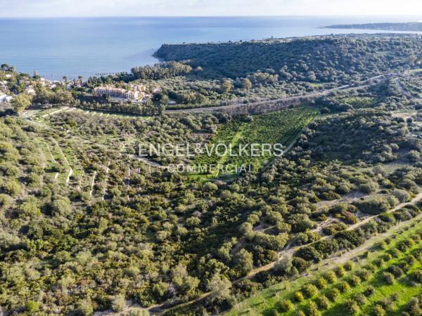 immagine annuncio 1 di 6