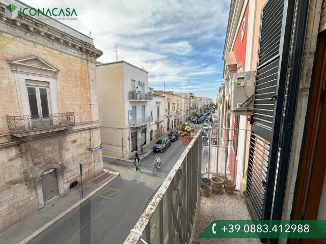 2-room flat in Via Francesco Ferrucci, Andria - Photo 1