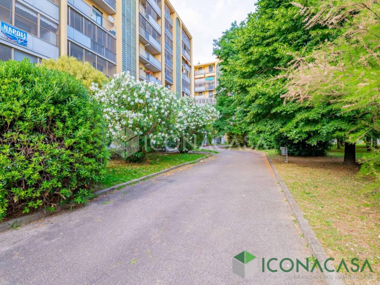 immagine annuncio 4 di 15