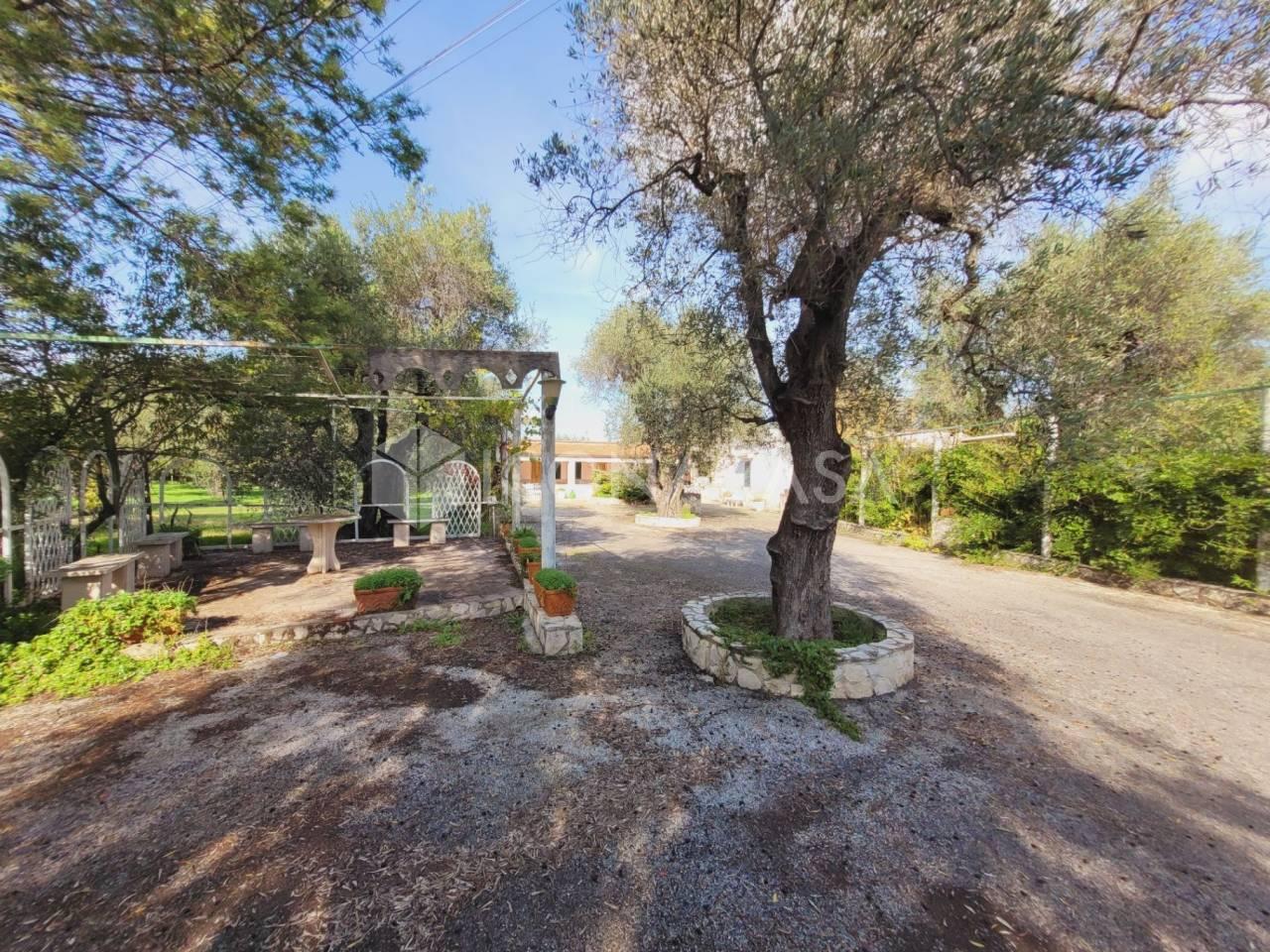 immagine annuncio 10 di 11