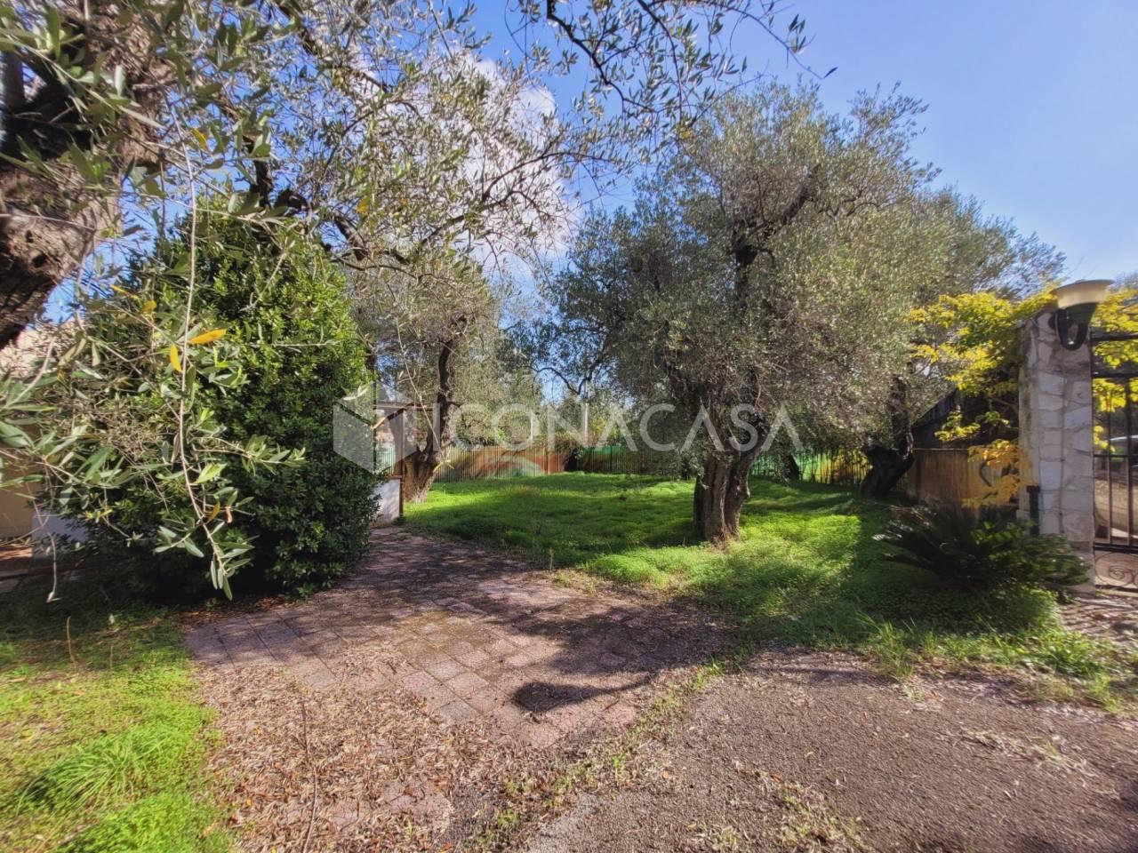 immagine annuncio 9 di 11