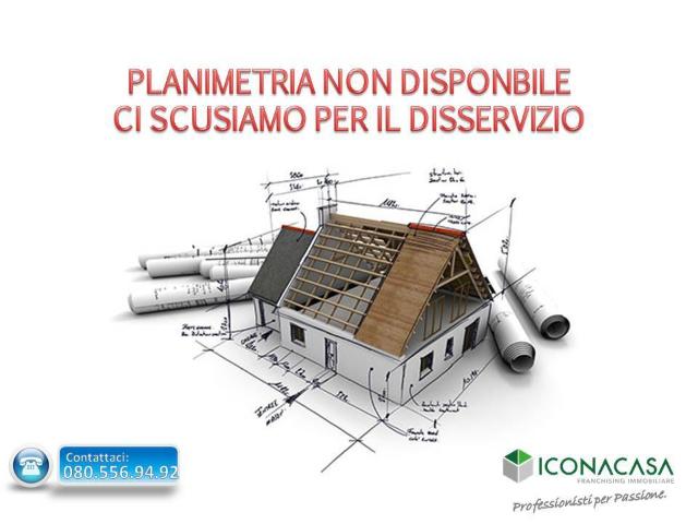 main planimetry real estate image