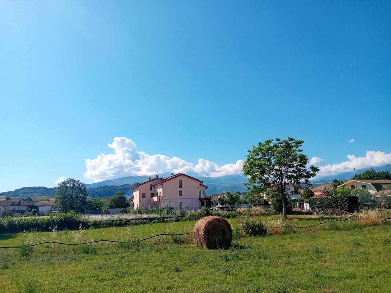 immagine annuncio 2 di 6
