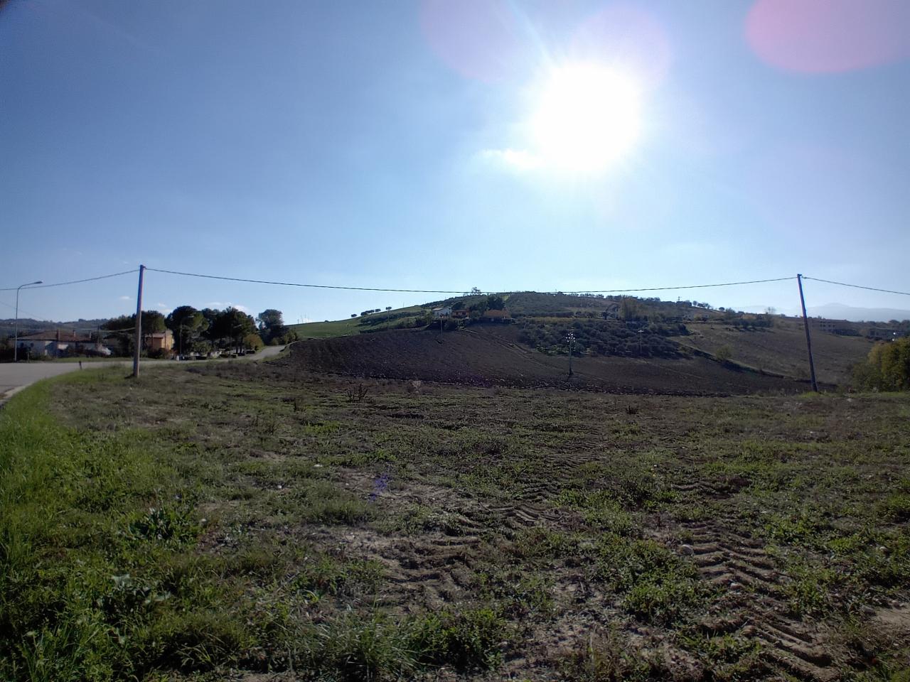immagine annuncio 2 di 13
