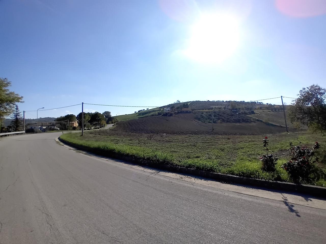 immagine annuncio 3 di 13
