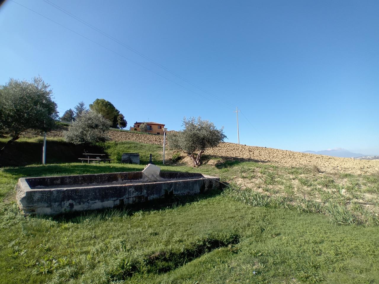 immagine annuncio 4 di 13
