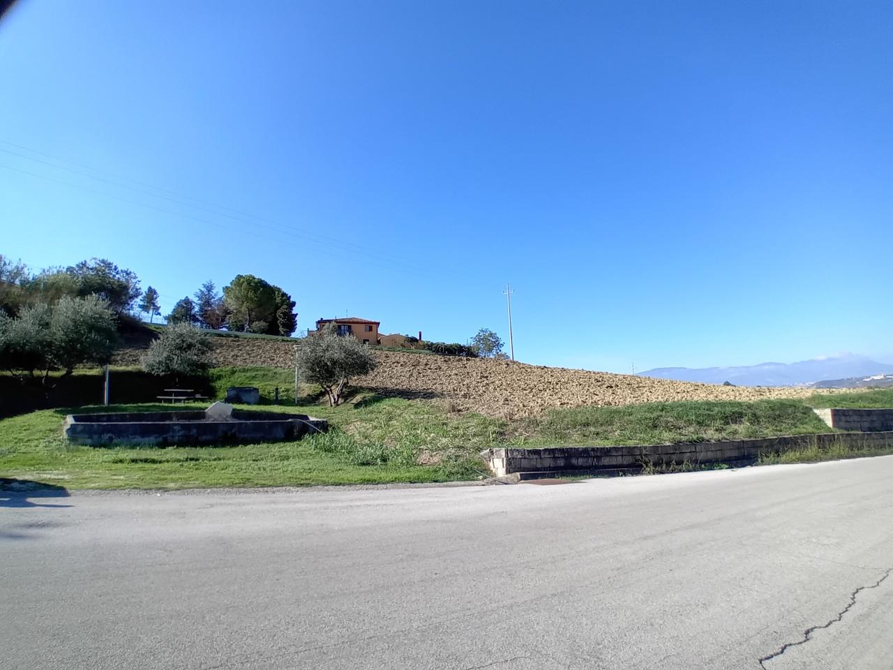 immagine annuncio 11 di 13