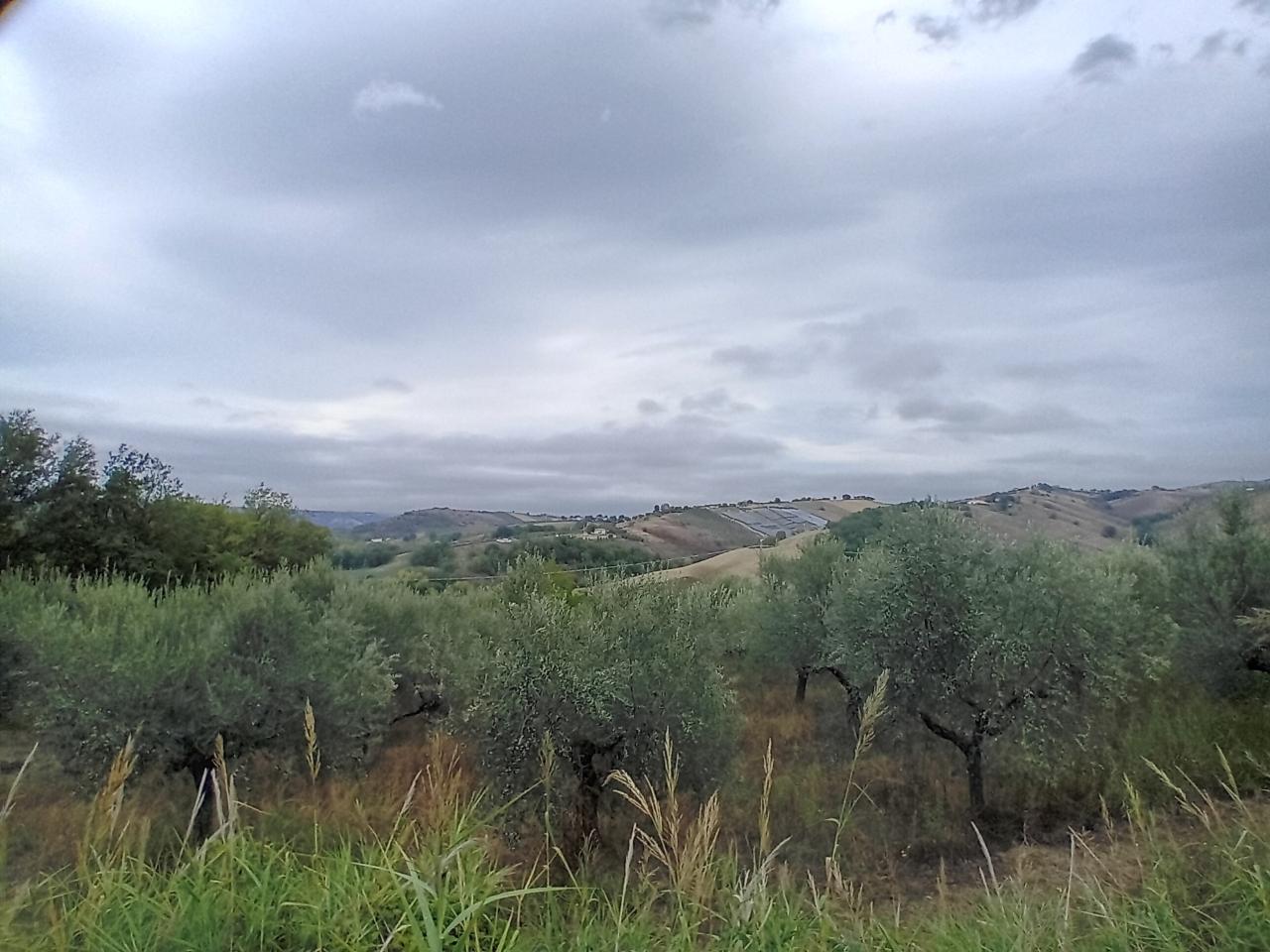 immagine annuncio 5 di 7