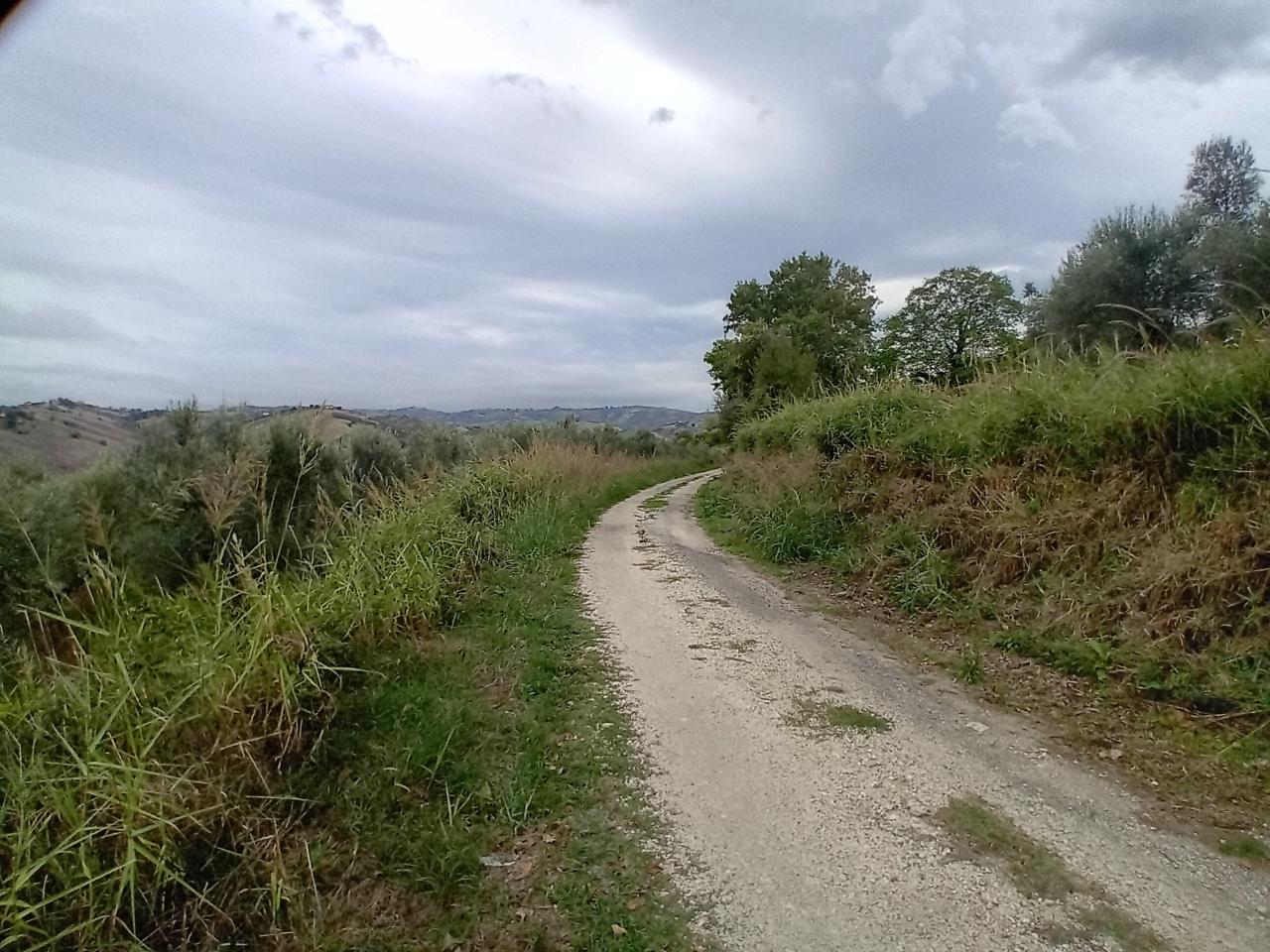 immagine annuncio 6 di 7