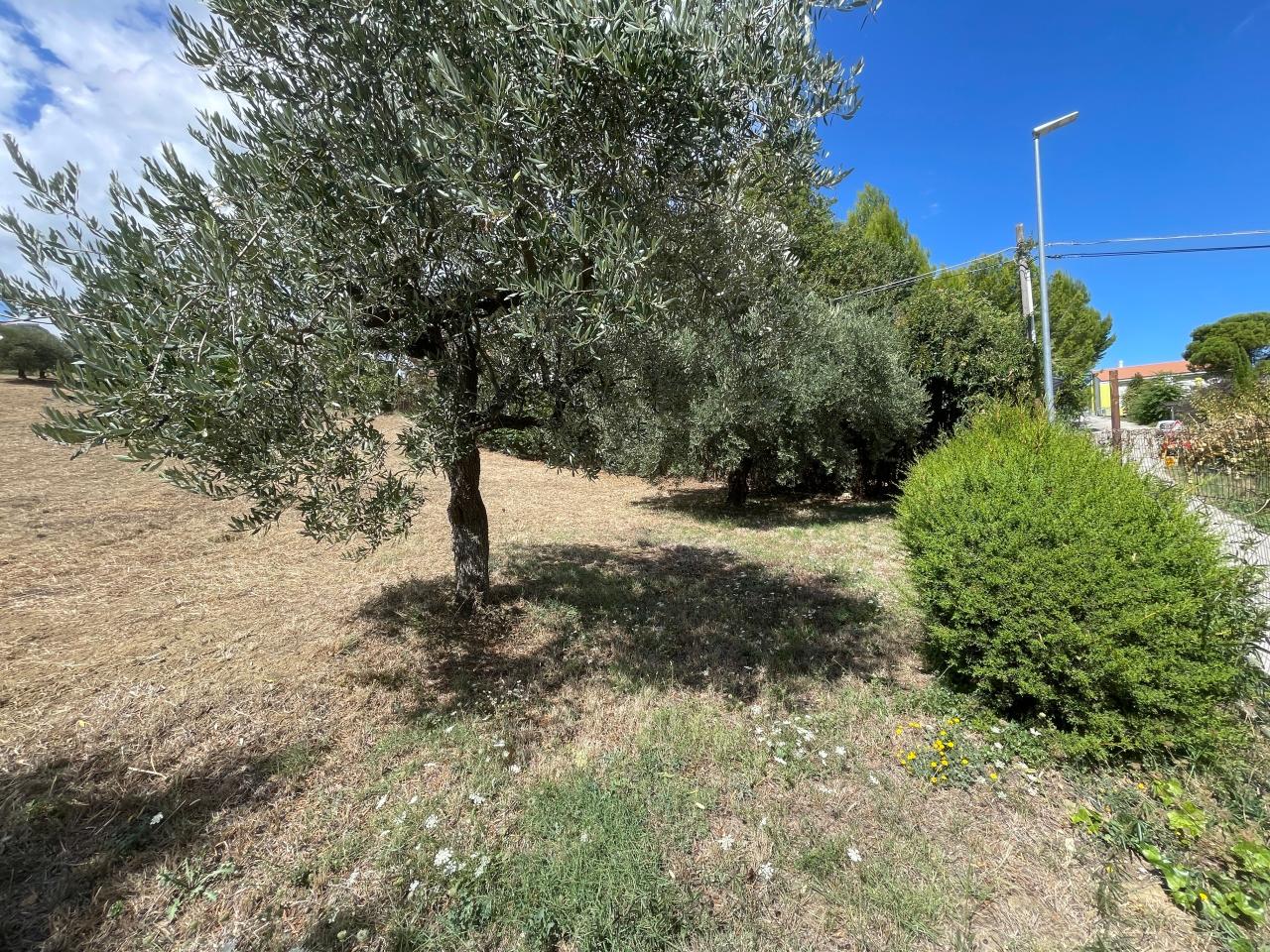 immagine annuncio 4 di 6