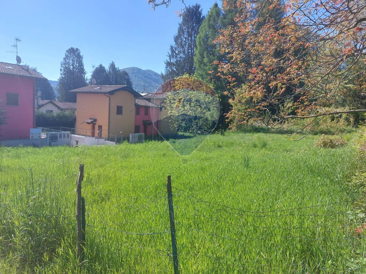 immagine annuncio 4 di 7