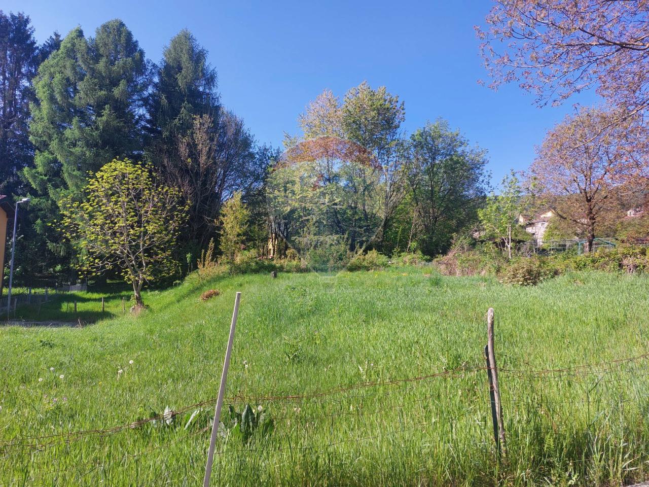immagine annuncio 6 di 7