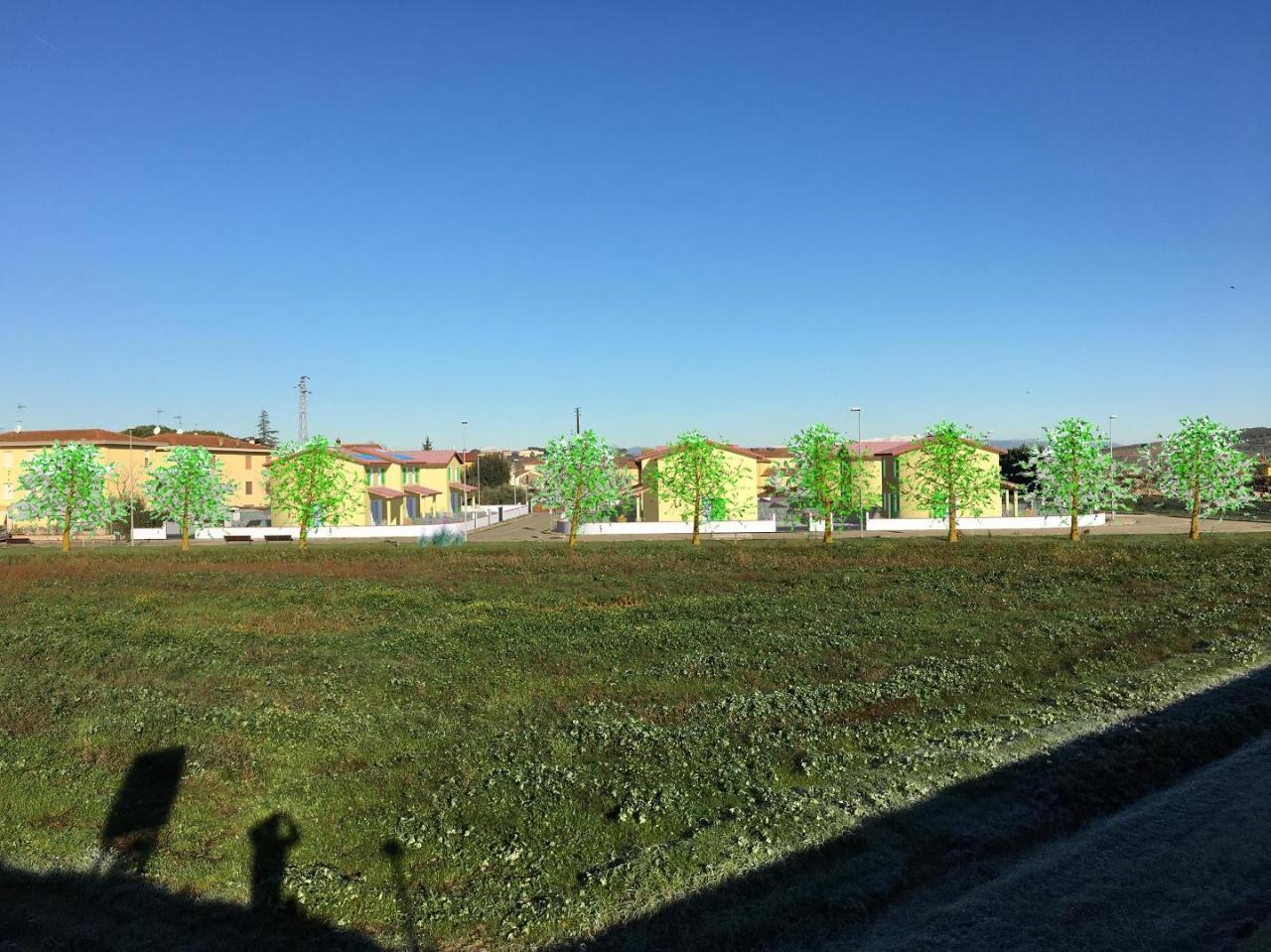 immagine annuncio 5 di 12