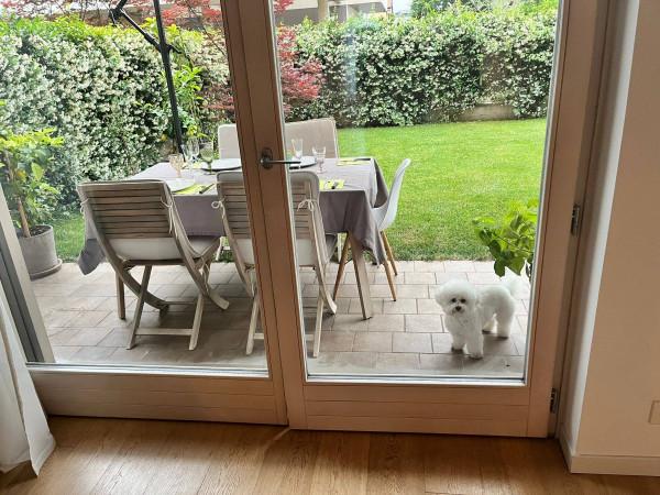 immagine annuncio 8 di 14