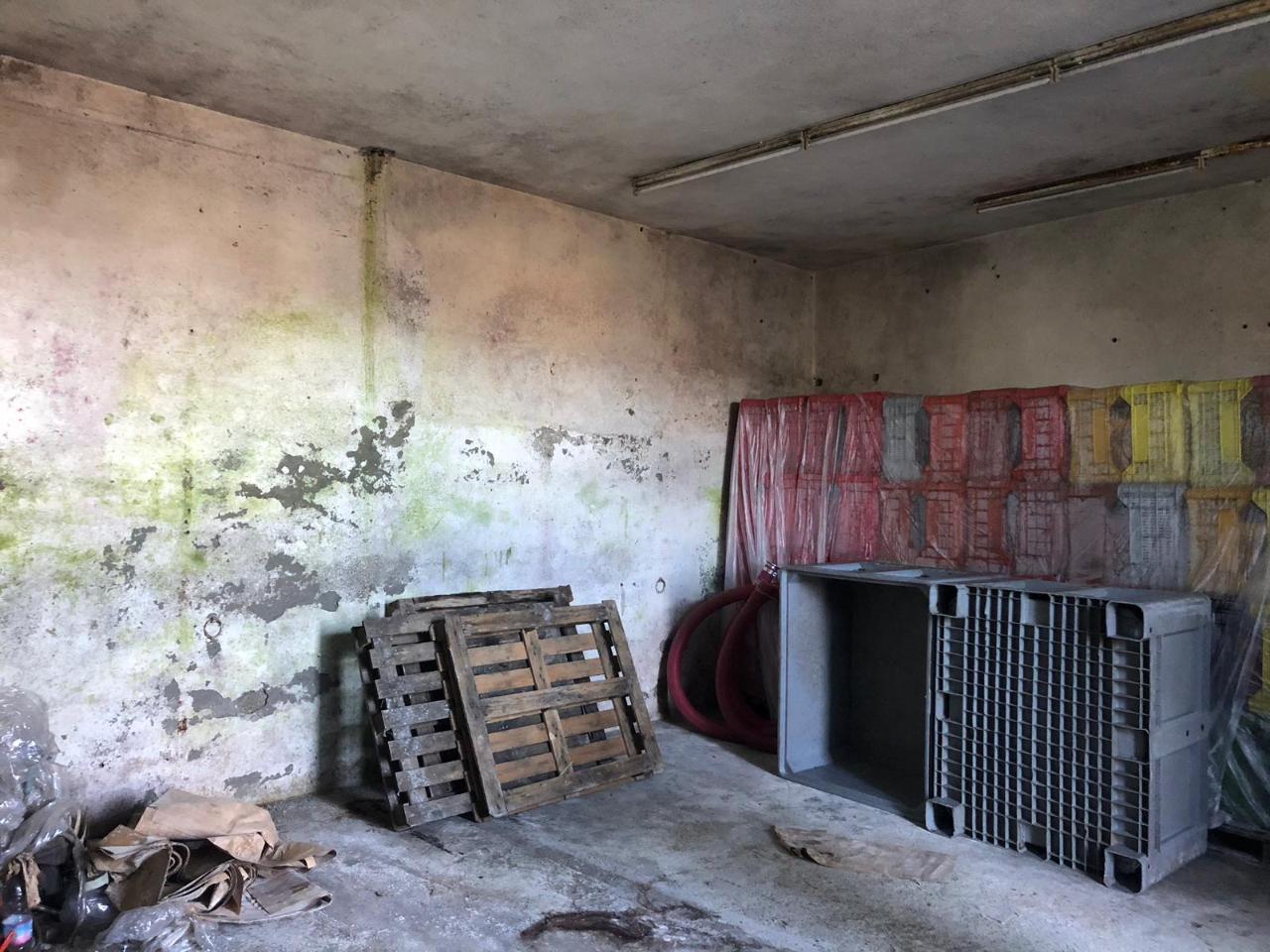 Capannone in , Fosdinovo, {3} - Foto 1
