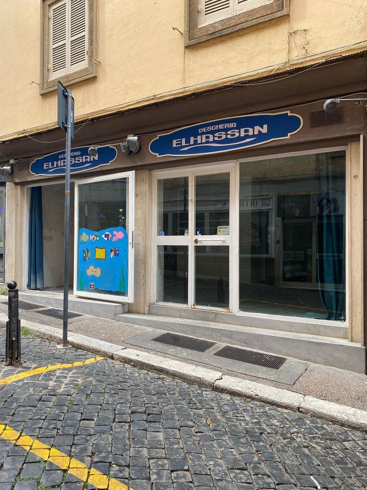 Pescheria in Via Paola 9, Frascati, {3} - Foto 1