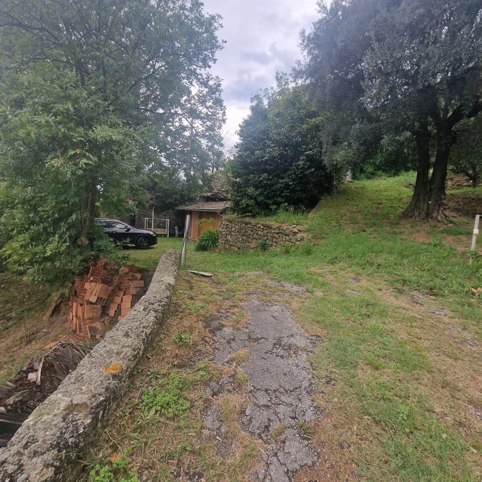 immagine annuncio 3 di 7