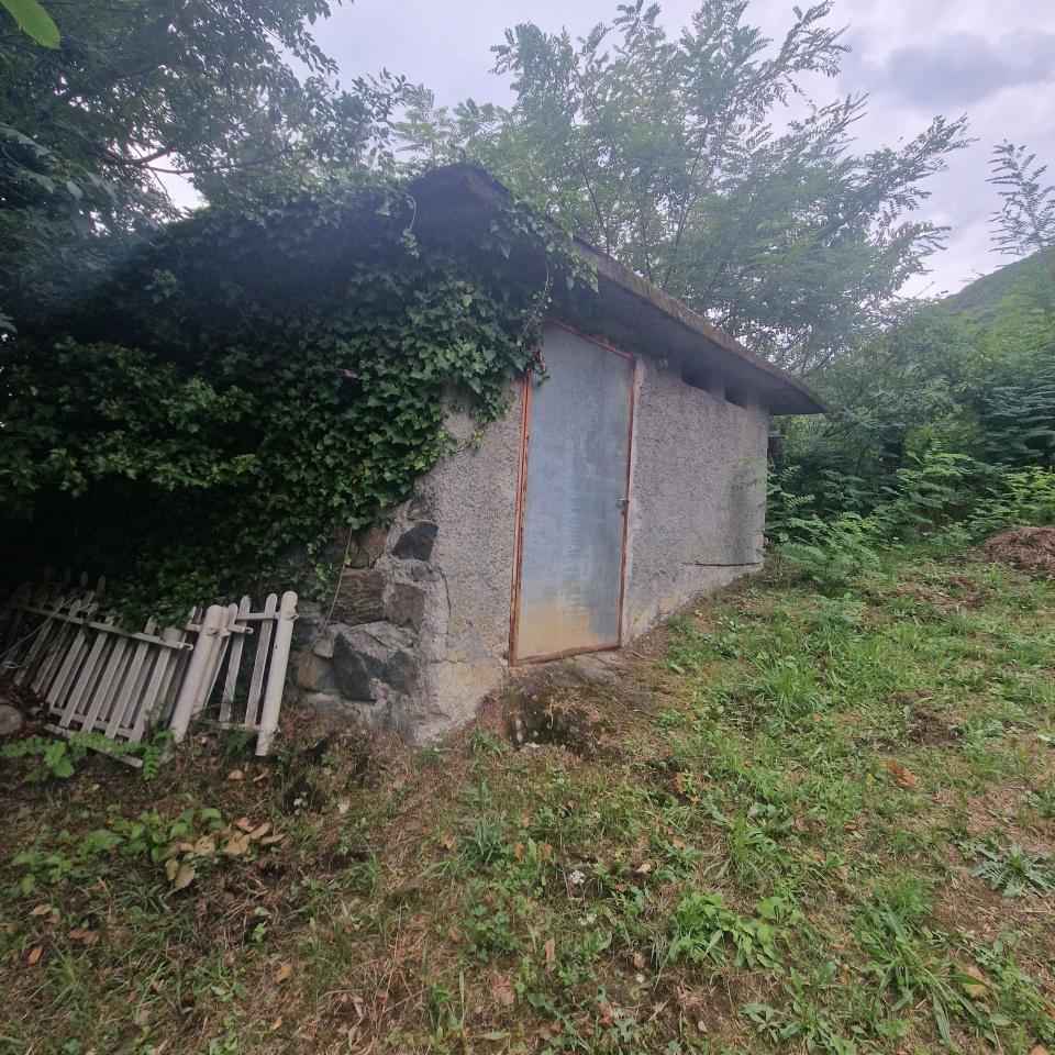 immagine annuncio 6 di 7
