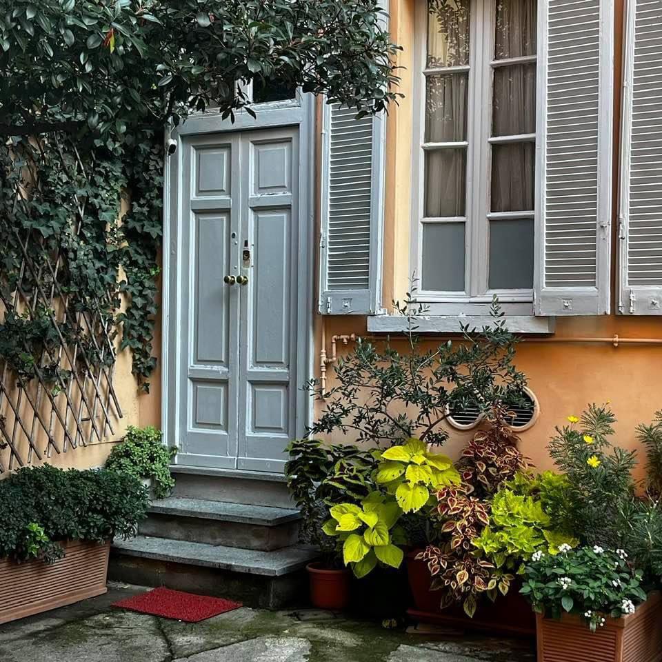 immagine annuncio 9 di 14