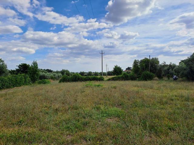 Terreno agricolo, Velletri - Foto 1