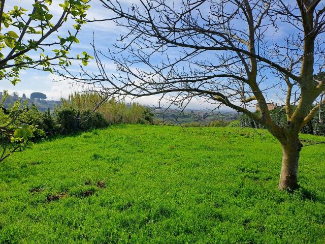 Agricultural land, Velletri - Photo 1