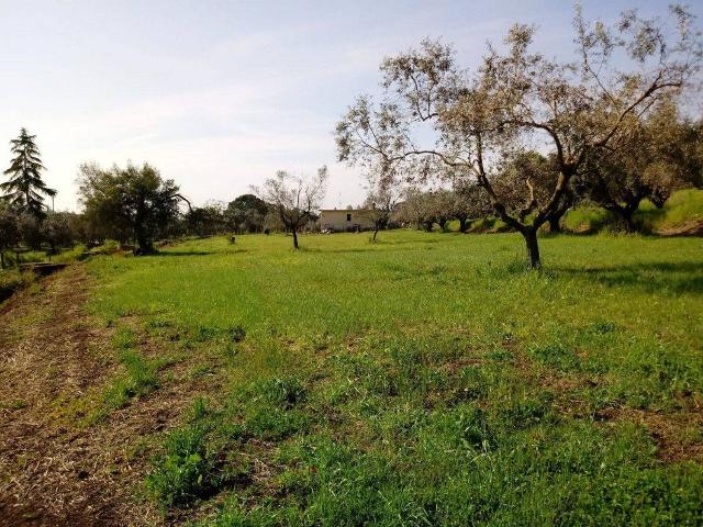 Agrargrundstück in Via delle Vascucce 218, Velletri - Foto 1