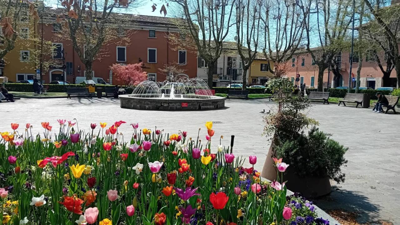 immagine annuncio 10 di 15