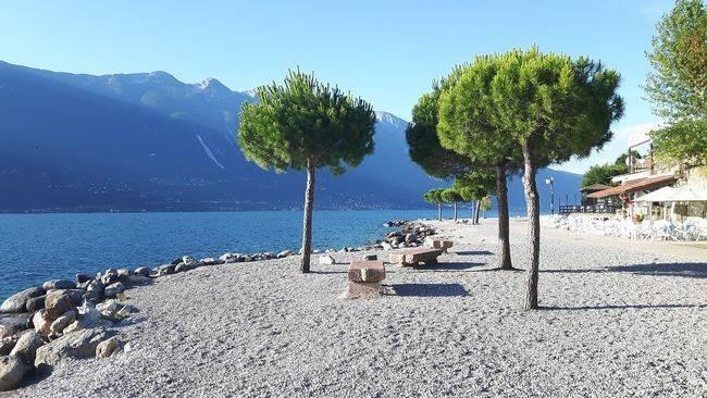 immagine annuncio 6 di 7
